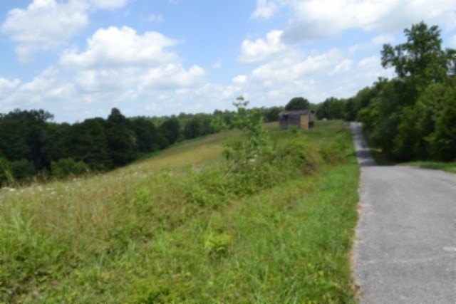 Picture 27