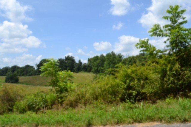 Picture 15