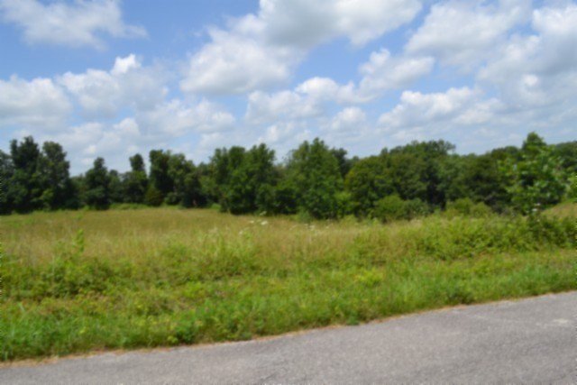 Picture 24
