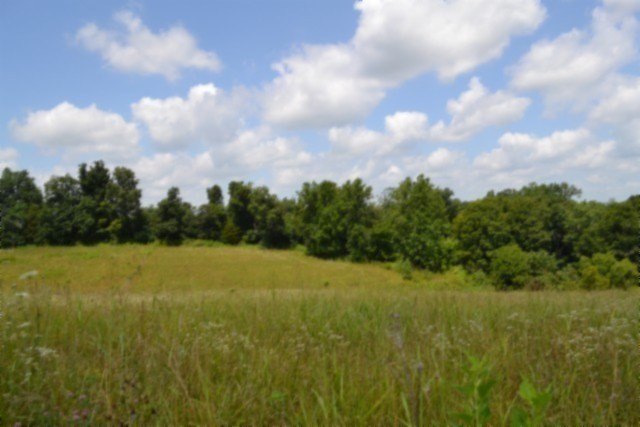 Picture 17