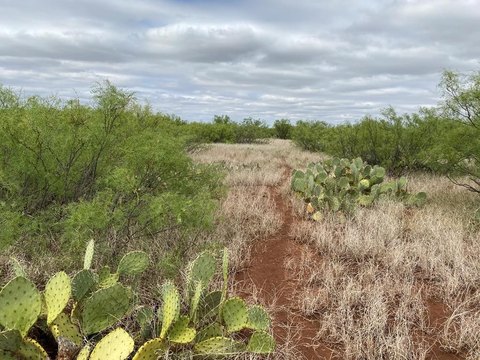 75 Acres Hunting Land, Westbrook