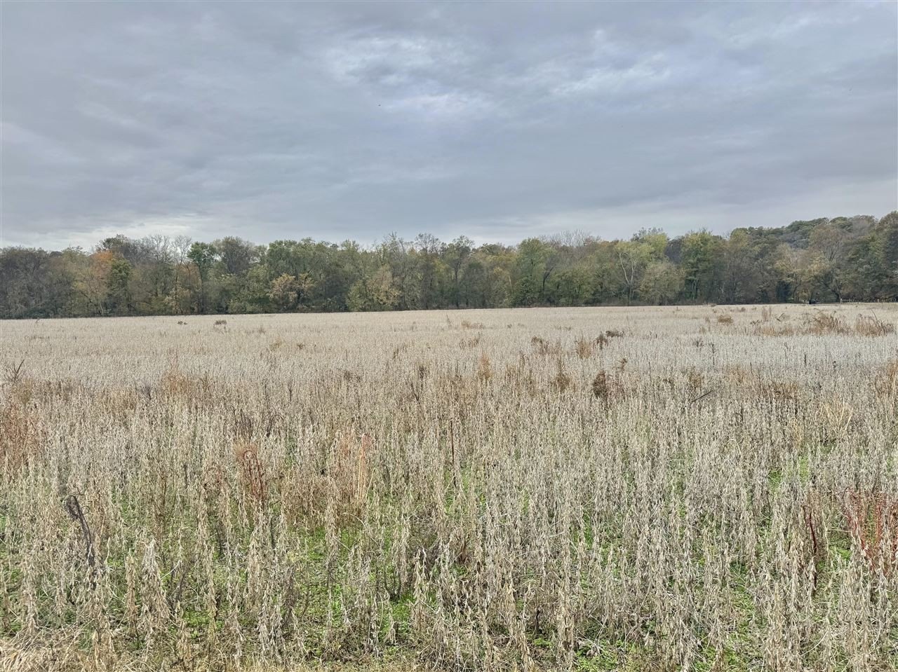 Land with Creek Frontage