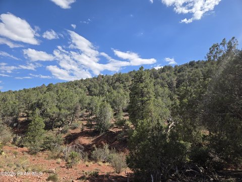 LAND - Ash Fork, AZ