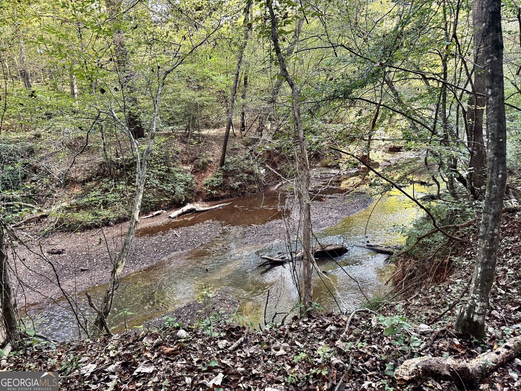 Picture 19
