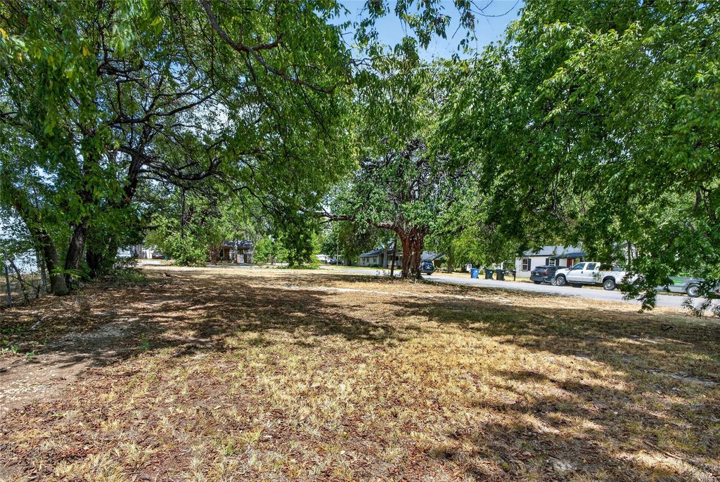 Picture 8