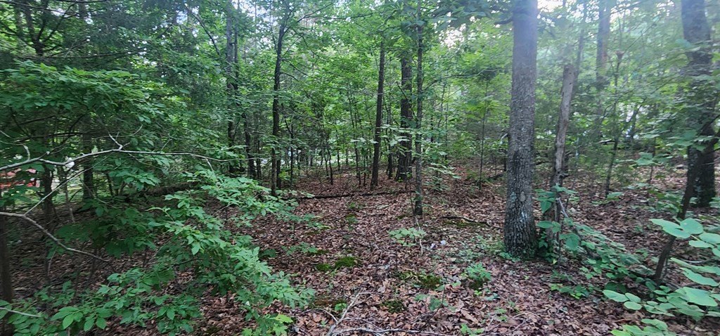 Picture 8
