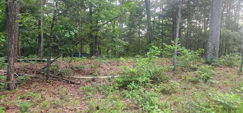 LAND - CAMDEN, TN