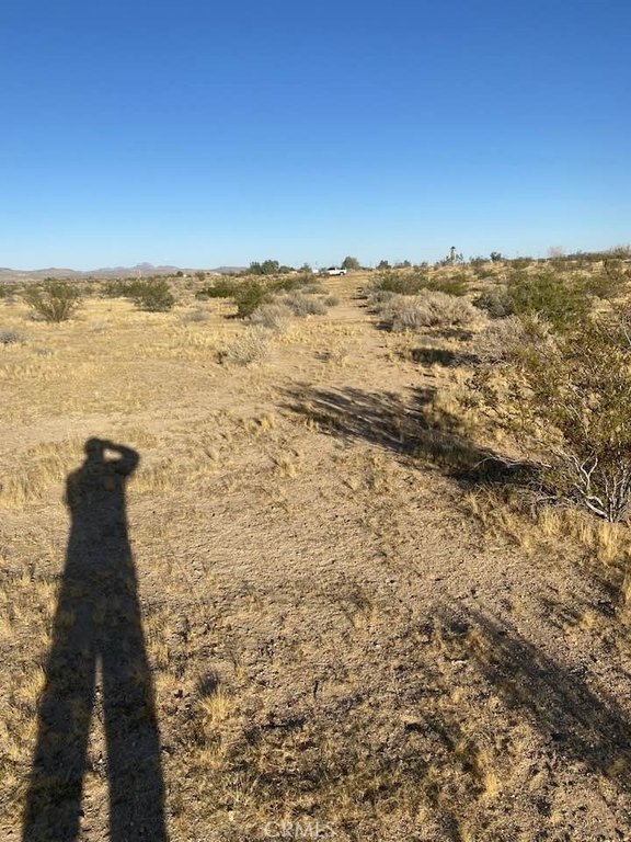 Picture 7