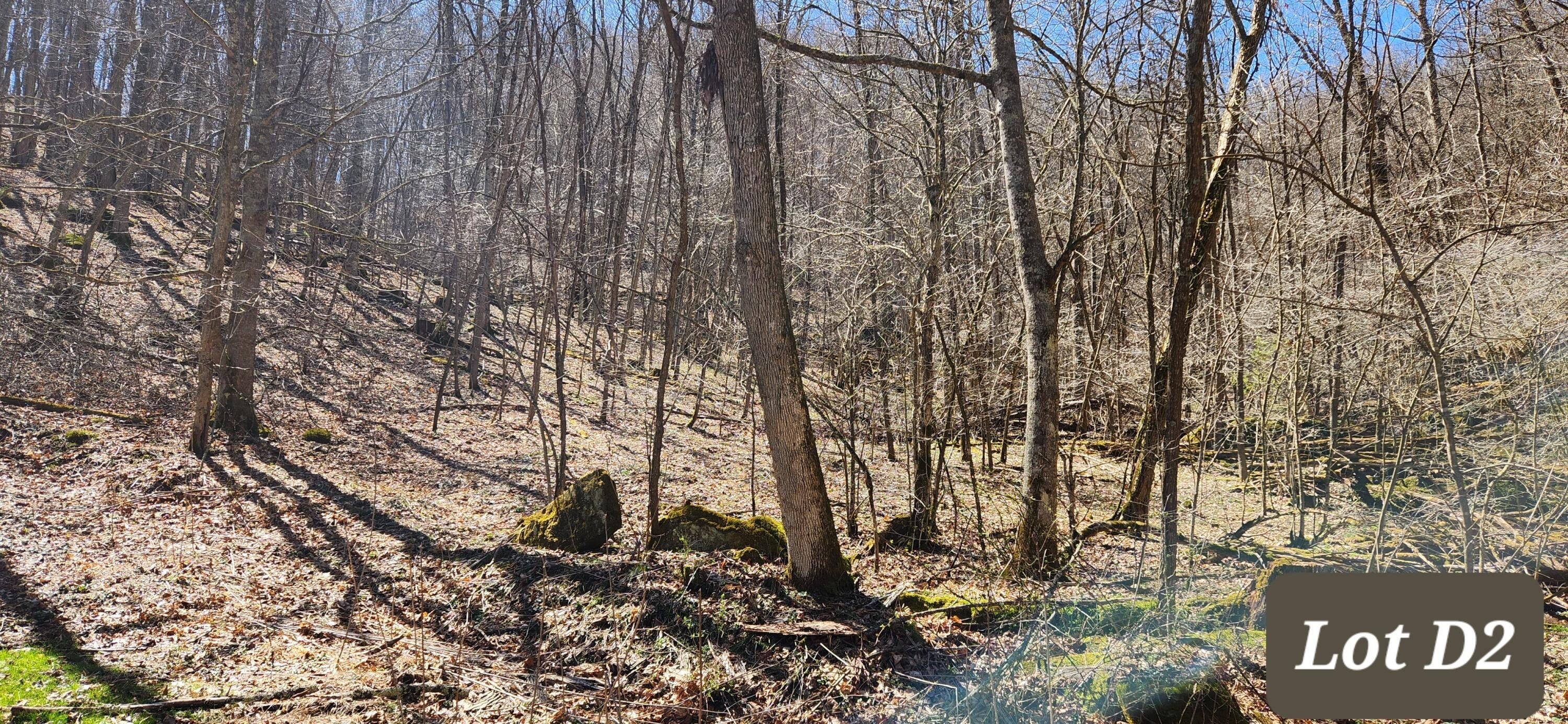Wooded Land in Mountain Community