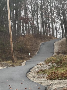 Wooded Land with Utilities