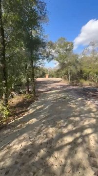 Cleared Lot Ready to Build