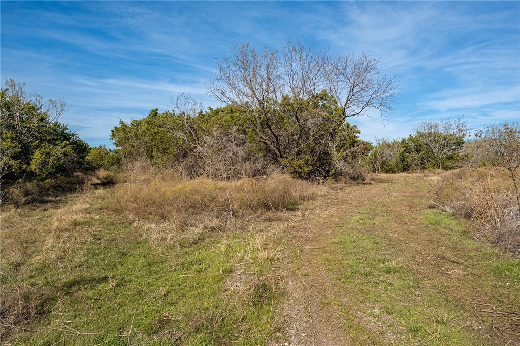 Picture 14