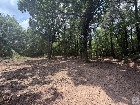 Commercial Development Land Tract