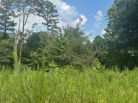 LAND - LaFayette, GA