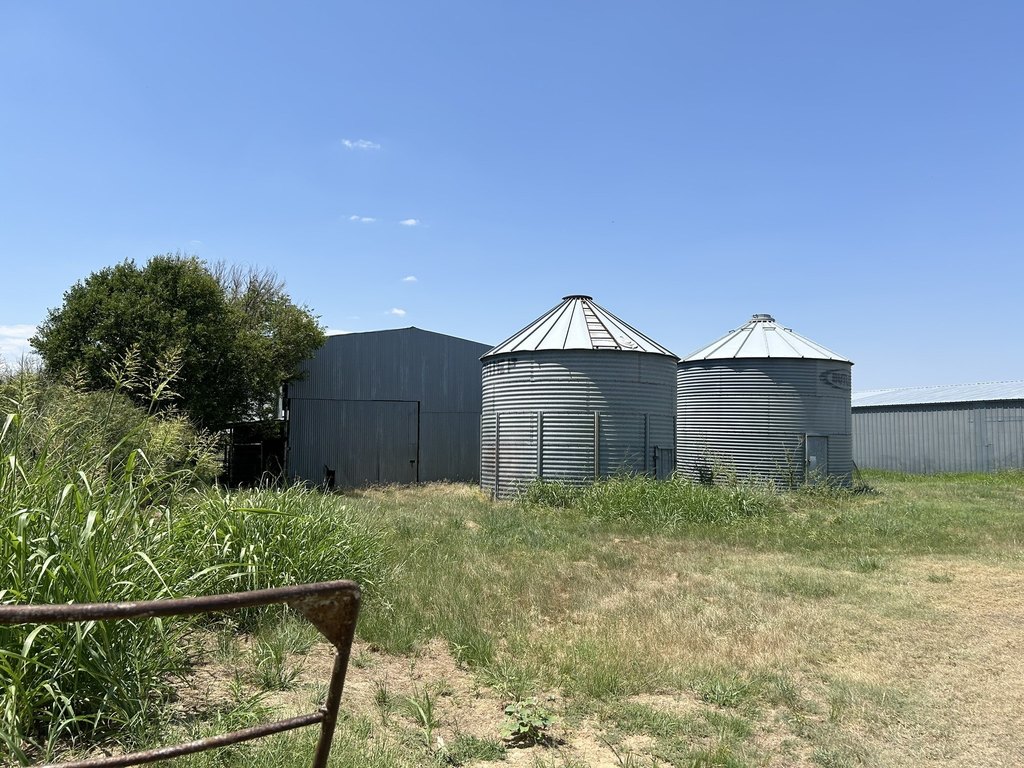 Picture 26