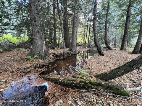 Kingston Timber Land For Sale