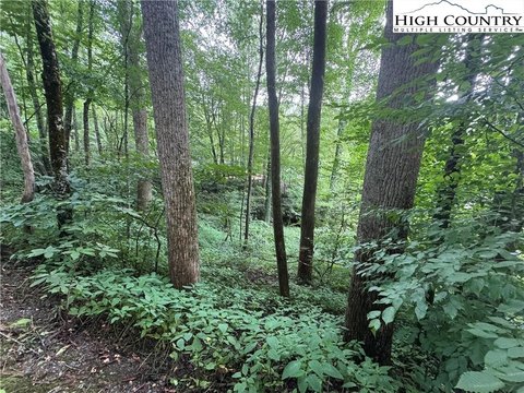 Land in Mill Ridge