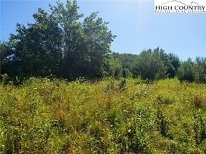 Level Land with River Access