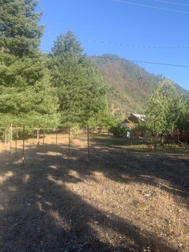 LAND - Willow Creek, CA