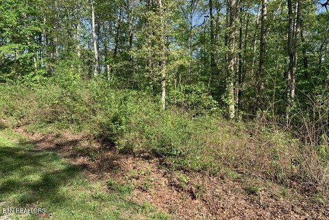 Crossville, TN Wooded Lot