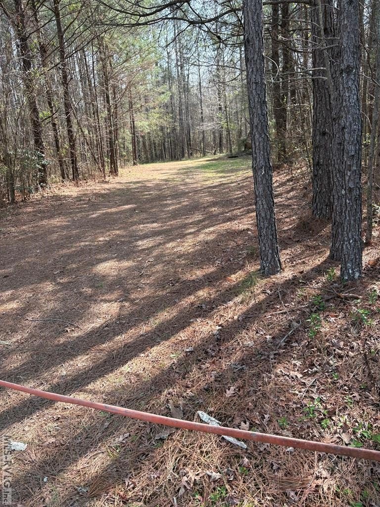 84.7 Acres Hunting and Residential Land