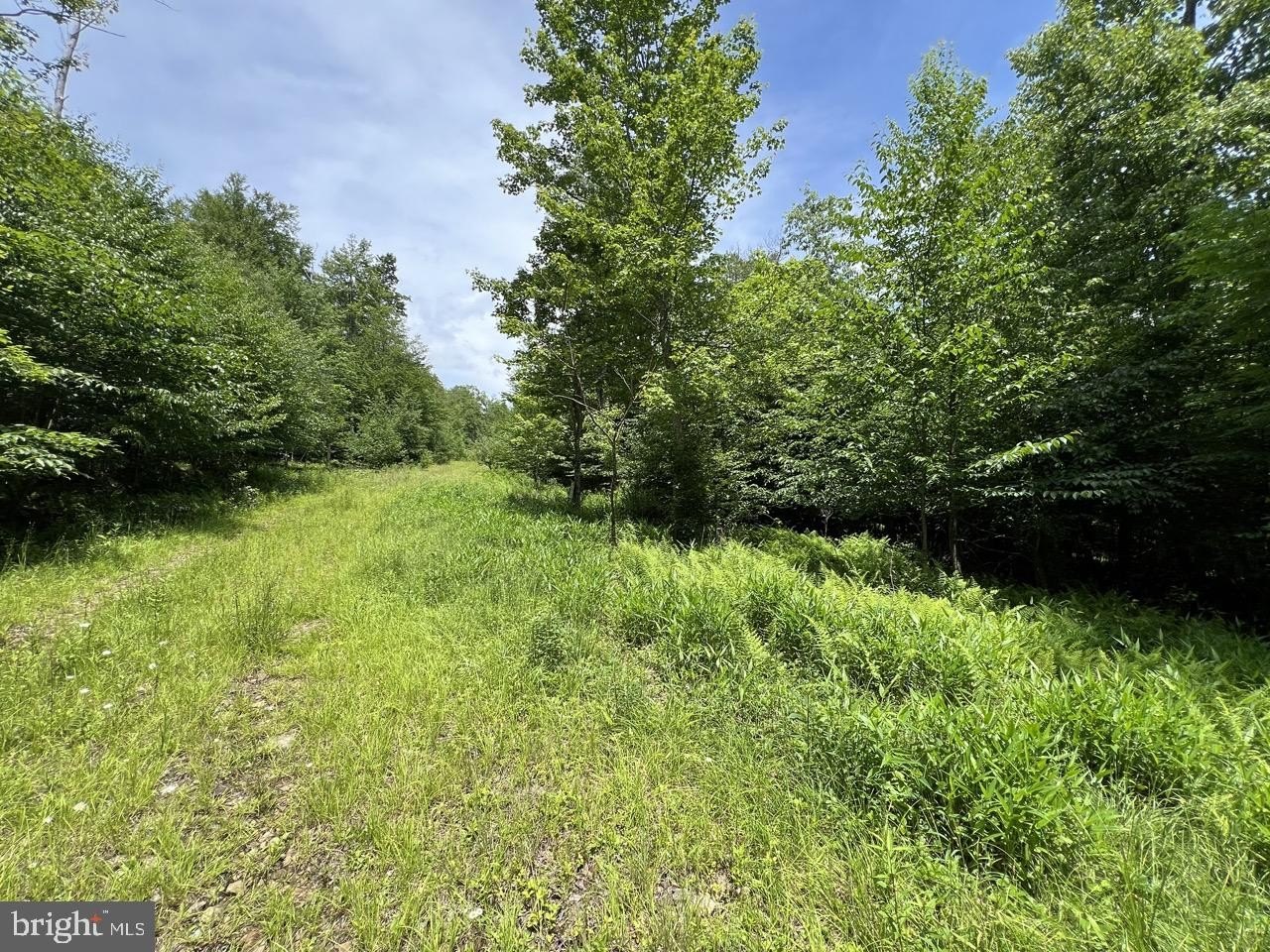 9.59 Acres in Tuscan Ridge