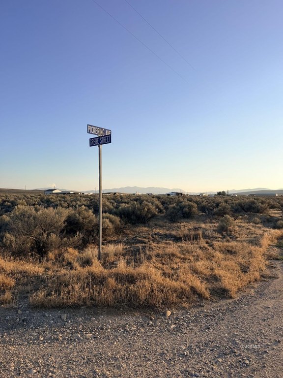 Picture 17