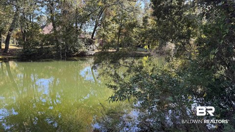 Wooded Waterfront Land