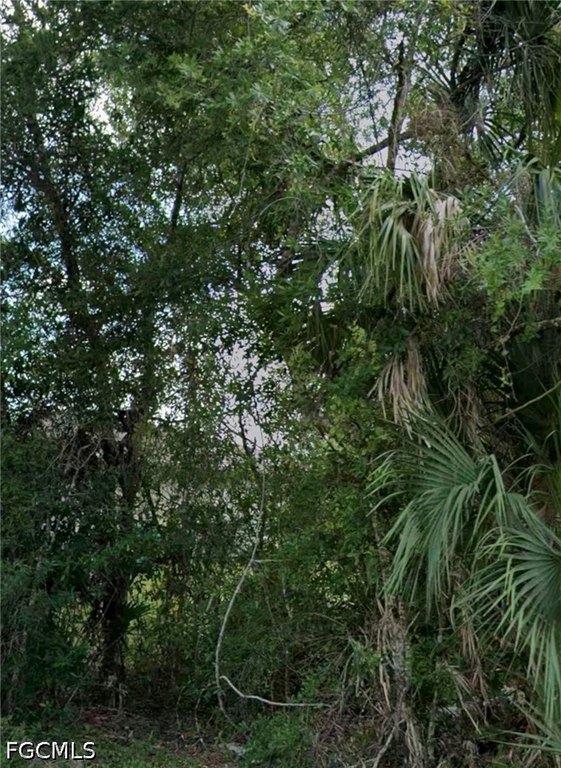 Picture 2