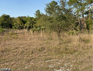 Land, Labelle, FL