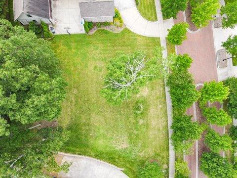 Buildable Lot in Dogwood Grove