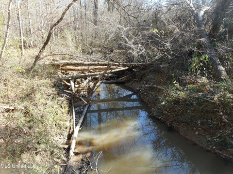 Land for Hunting Near Brandon