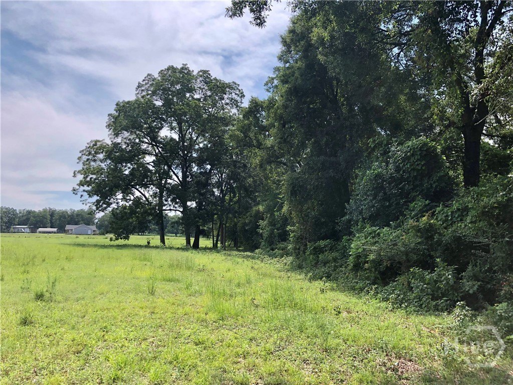 Nevils Buildable Tract For Sale