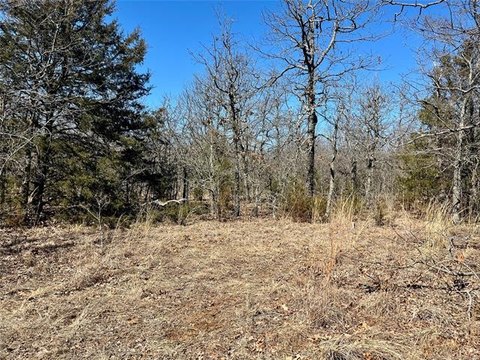 Wooded 60 Acres Hunting Land