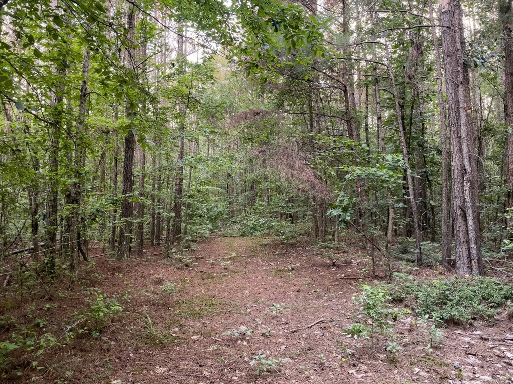 Picture 17