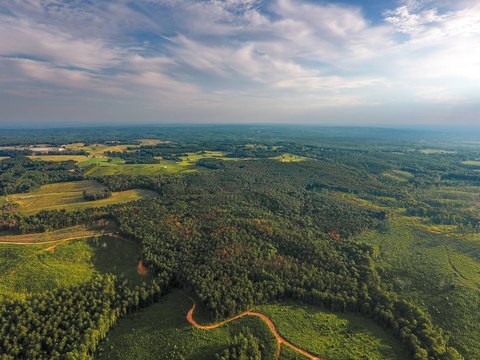 Recreational Hunting Land Tract
