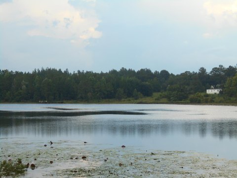 Lakefront Lot in Alford, Florida