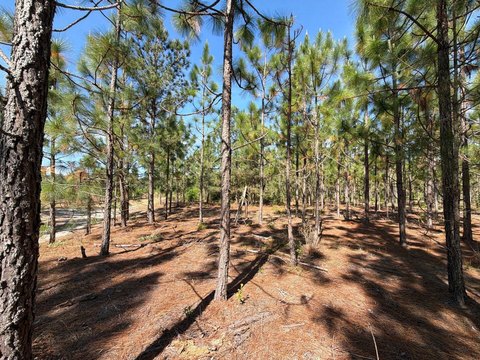 LAND - Wagener, SC
