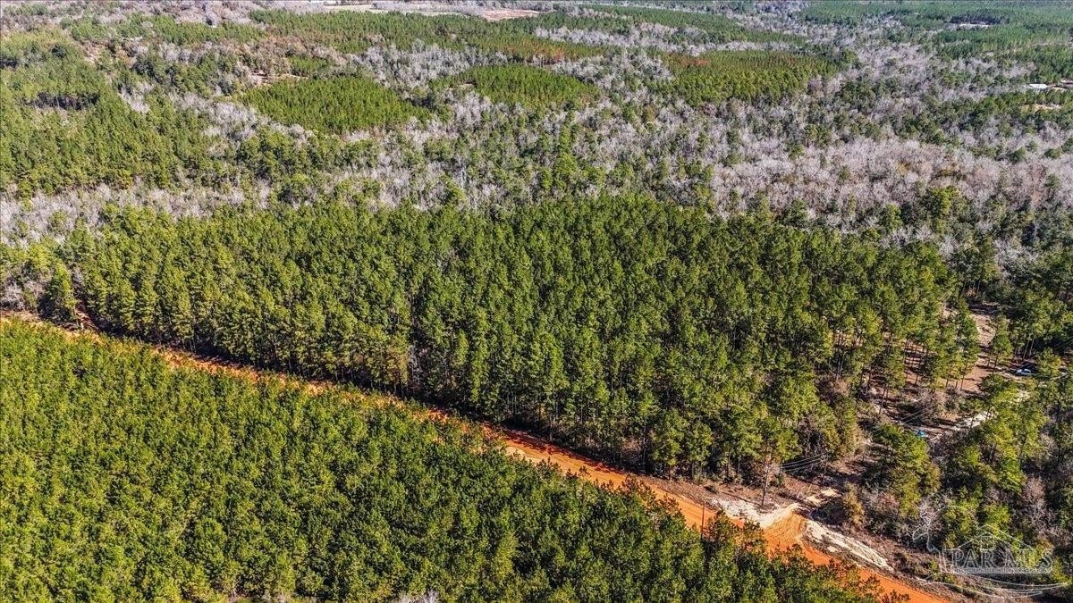 25 Acres with Creek Frontage