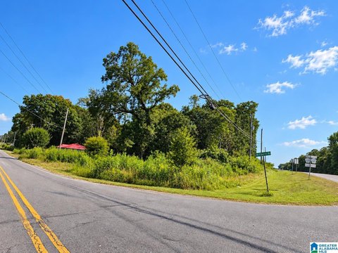LAND/LOTS, MUNFORD, AL