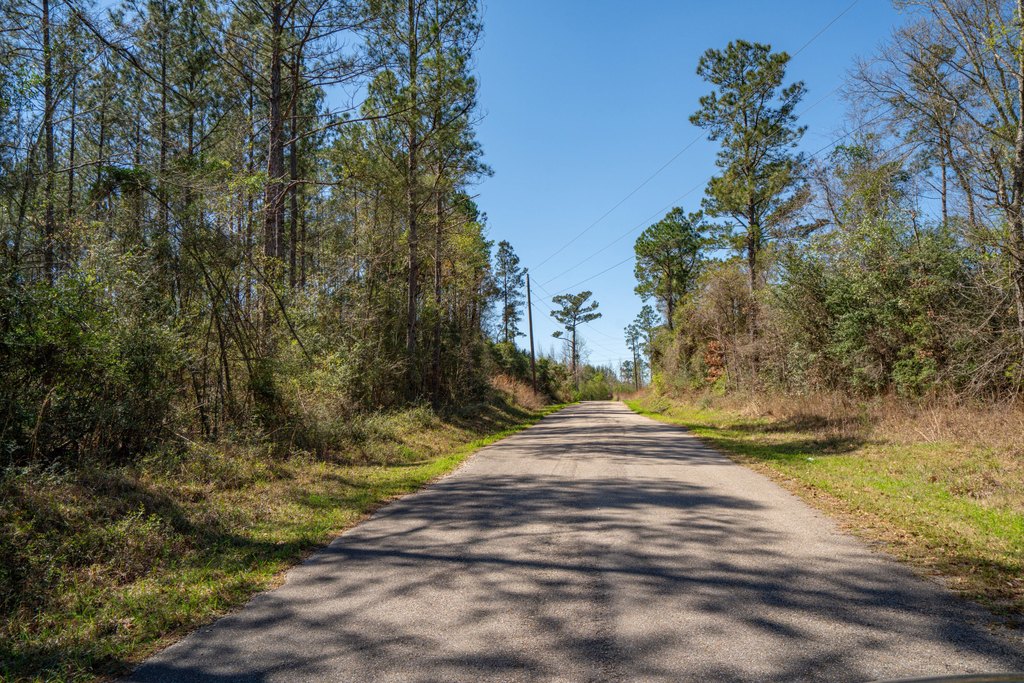 Picture 18
