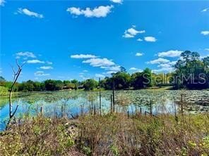 Land, DEBARY, FL