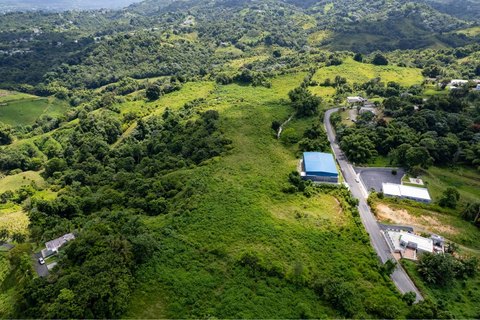 77-Acre Farm Land in Las Piedras