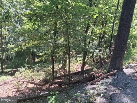 LAND - LINDEN, VA