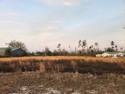 Cleared Land Near Panama City