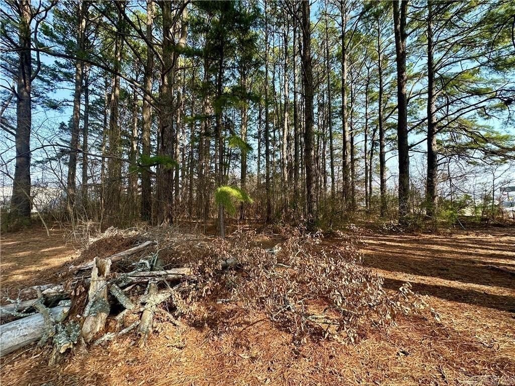 Picture 23