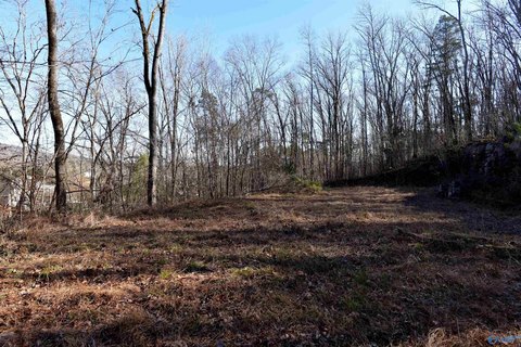 Scenic Wooded Lot For Sale