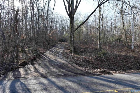 Scenic Wooded Lot For Sale