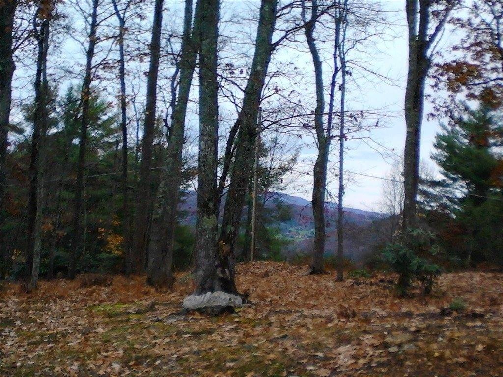 Picture 8