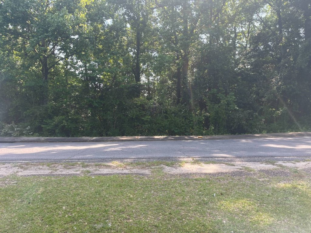 Picture 2